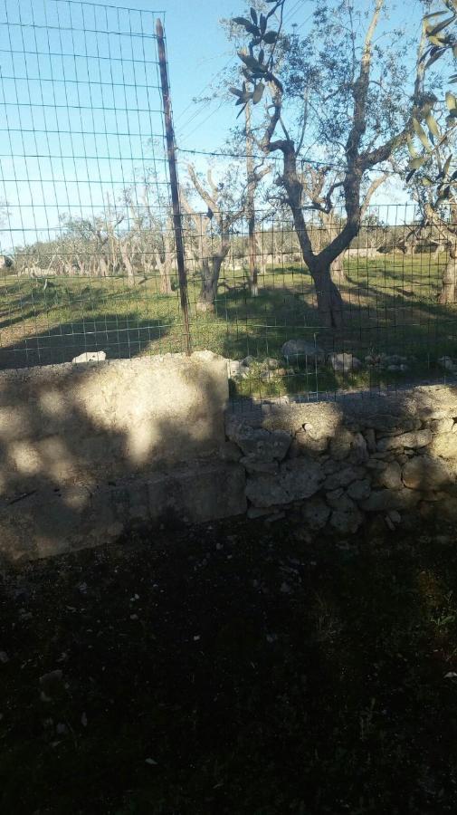 Villetta Tra Gli Ulivi Rocca Nuova Buitenkant foto