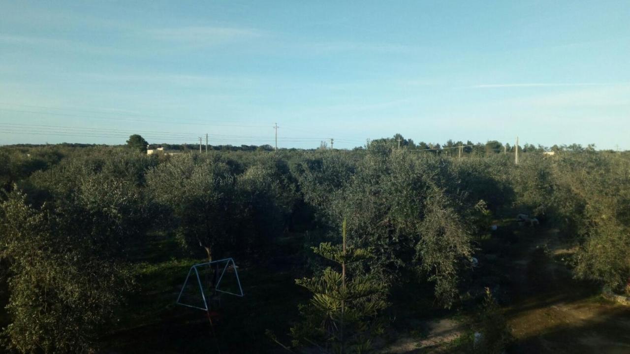 Villetta Tra Gli Ulivi Rocca Nuova Buitenkant foto